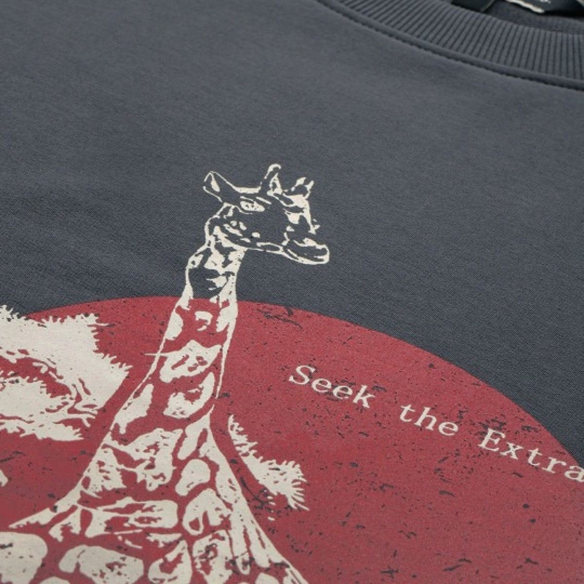 Combo of 2 Women's Cozy Sweatshirts | Stylish Winter Pack | SS-05