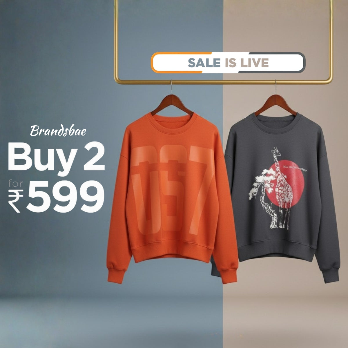 Combo of 2 Women's Cozy Sweatshirts | Stylish Winter Pack | SS-01